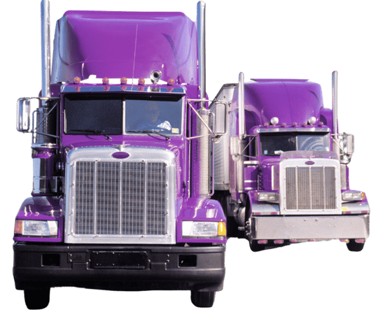 Purple Trucks (1)